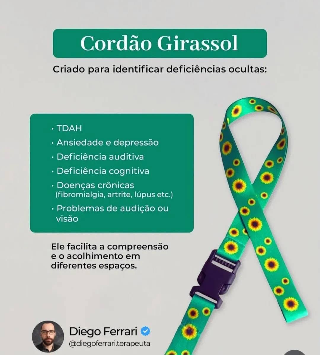 Galeria FLP Desenvolve 2